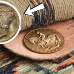 1916-D Mercury Dime carpet